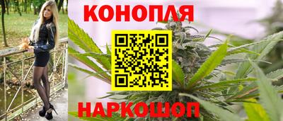 мяу мяу мука Будённовск