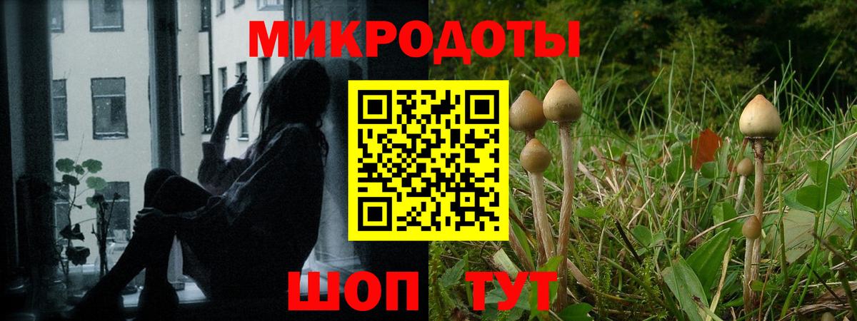 Галлюциногенные грибы ЛСД  Псилоцибиновые грибы прущие грибы  Кызыл  Вход с VPN 