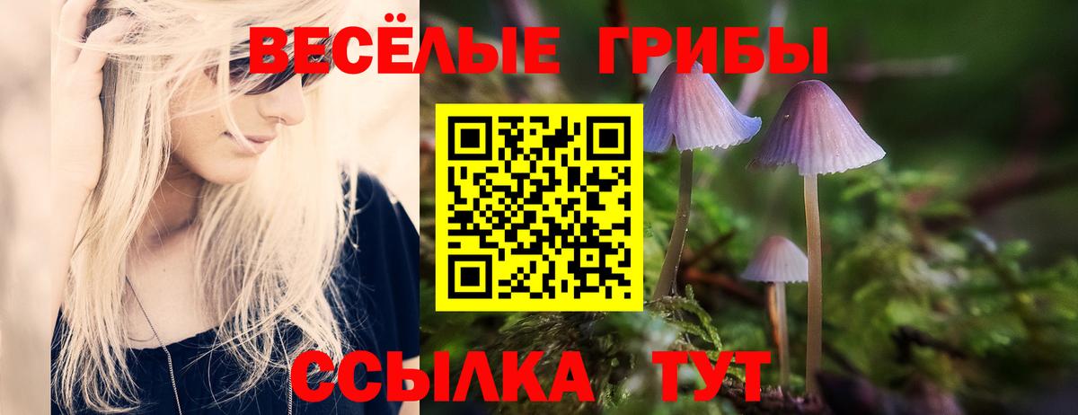 Псилоцибиновые грибы прущие грибы Кызыл